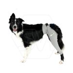 Lick Sleeve, dog recovery leg sleeve