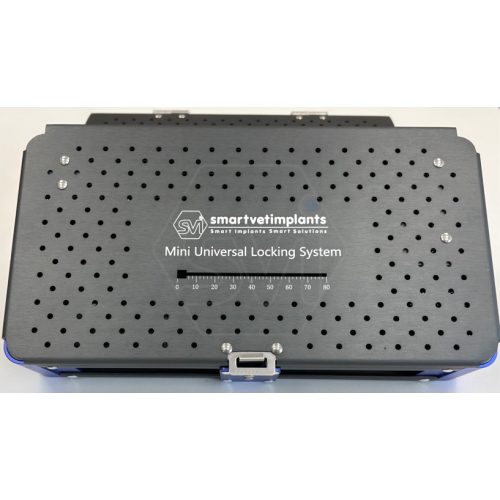 Mini ULS sterilization and storage container