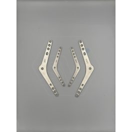 Polyaxial tarsal arthrodesis plates
