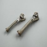 Polyaxial TPLO T-support plate, new version